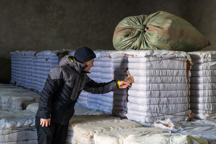 Lennart bei unseren Produzenten in Ulaanbataar Ein junger Mann fühlt an Wolle, die in einem Lager verpackt ist