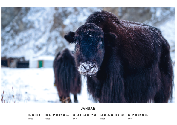 Kalender 2026 - Januar